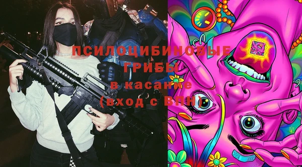 а пвп мука Елизово
