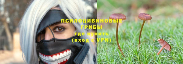 бутират Ельня