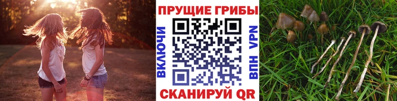 Галлюциногенные грибы ЛСД  Купить  Бодайбо 